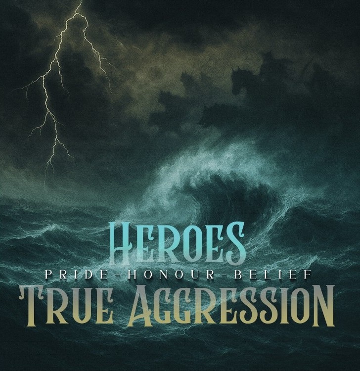 Heroes/True Aggression - Pride, Honour, Belief