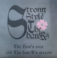 LP- Strong Style/The Hawks - Split
